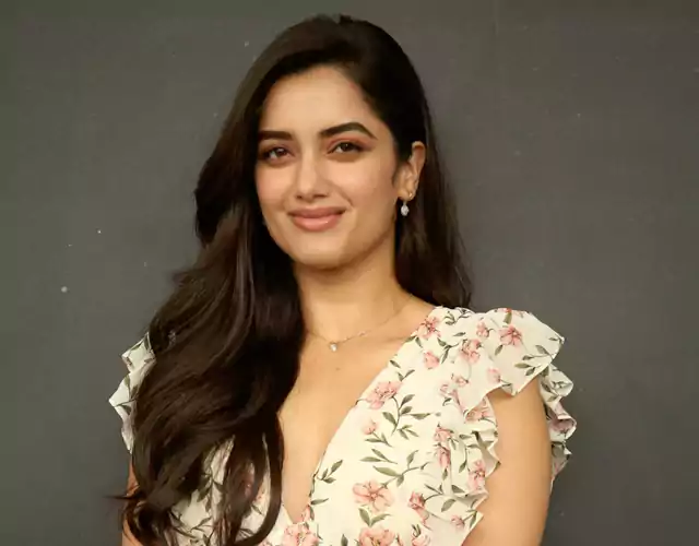 Bhagyashri Borse Andhra King Taluka Interview Stills